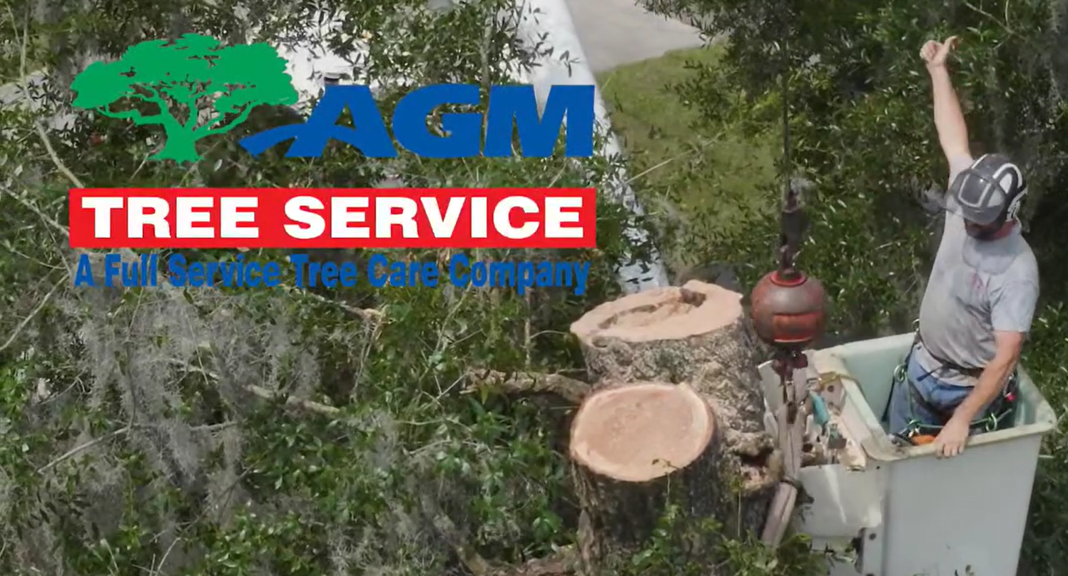 AGM Tree Service